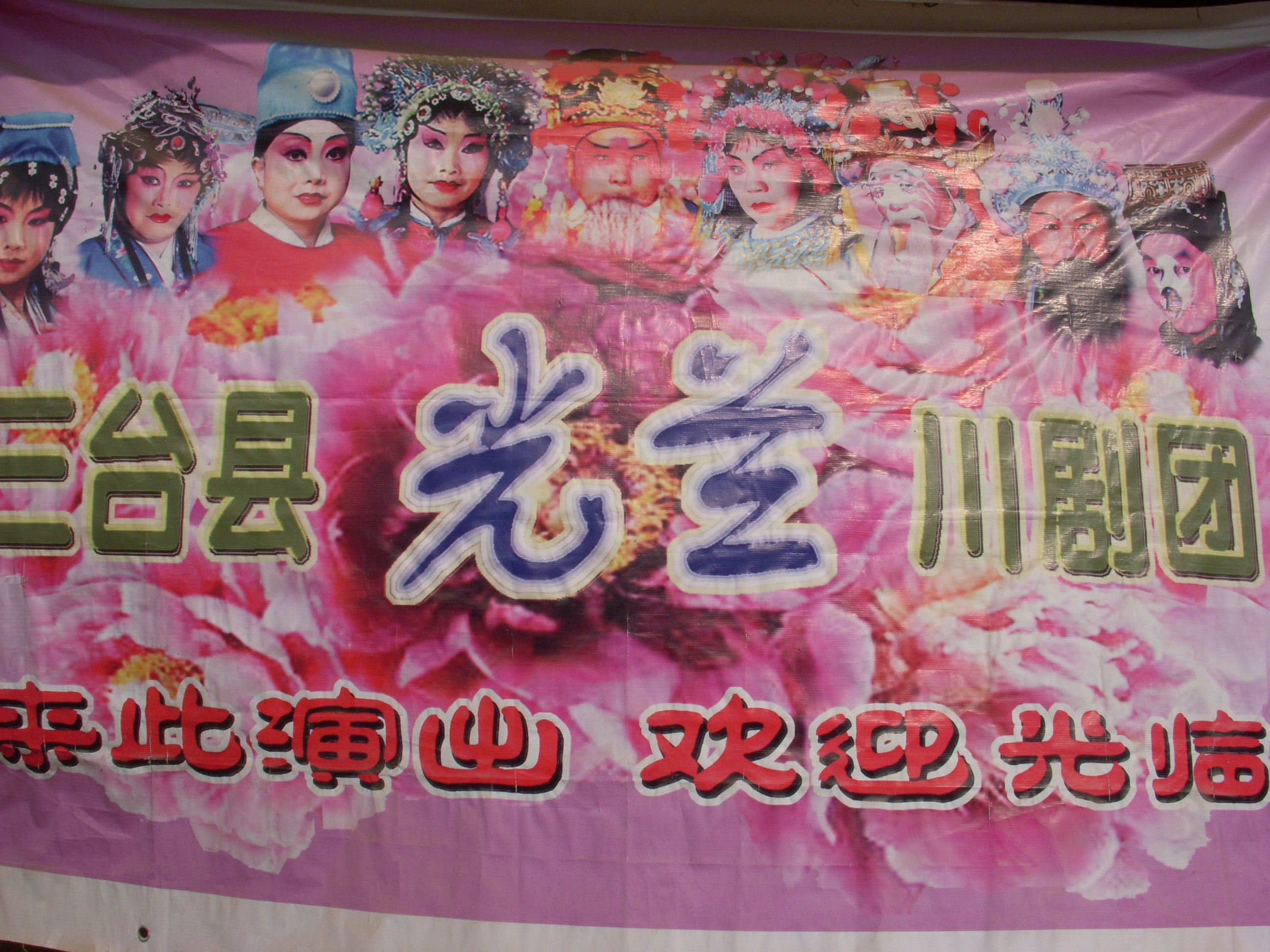 DSCN4004.JPG