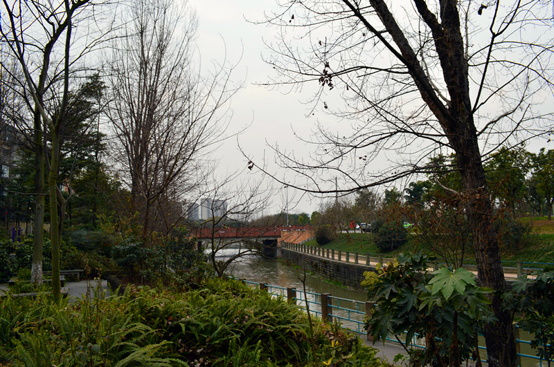 DSC_0046_.jpg