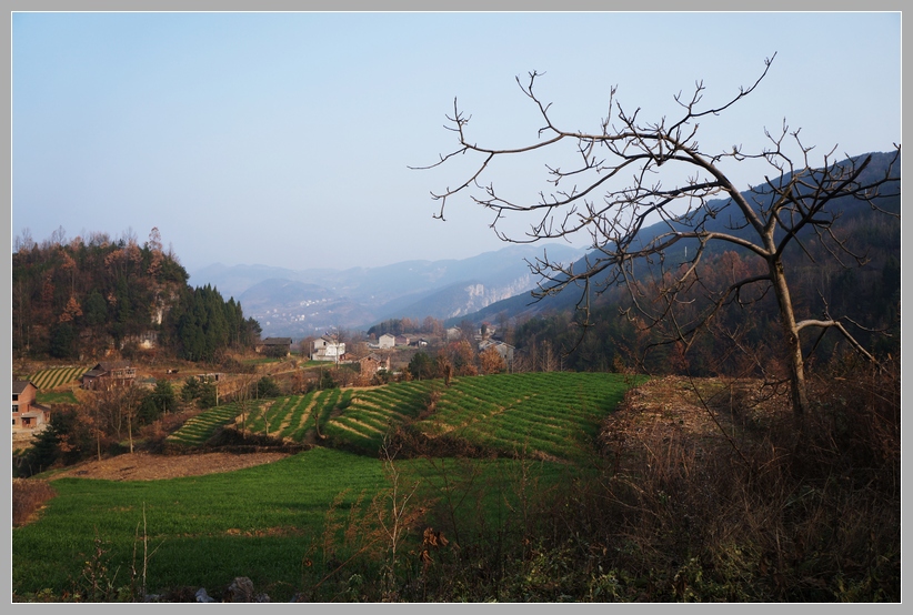 DSC09149.JPG