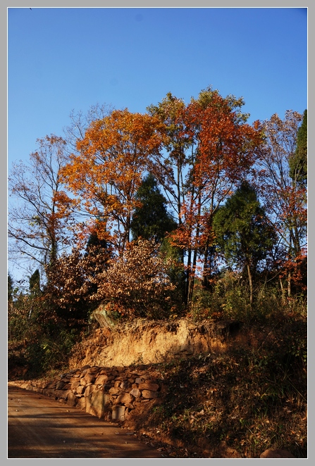 DSC02086.JPG