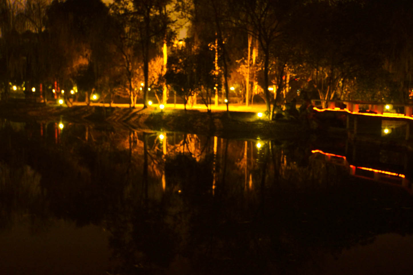 DSC02363-2.jpg