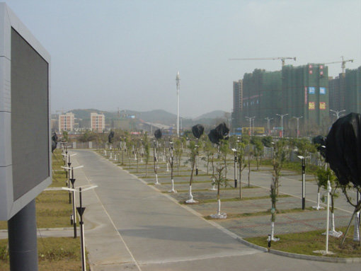 06.jpg