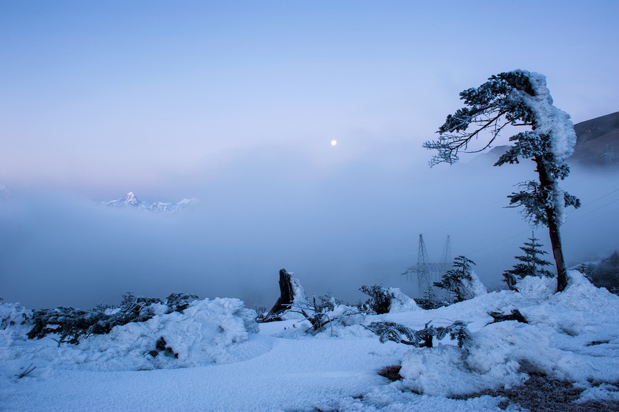_DSC6000.jpg