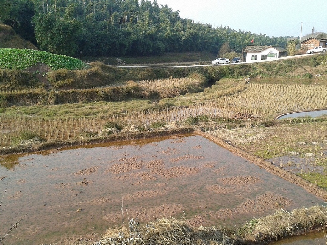 20140121_160921 - .jpg