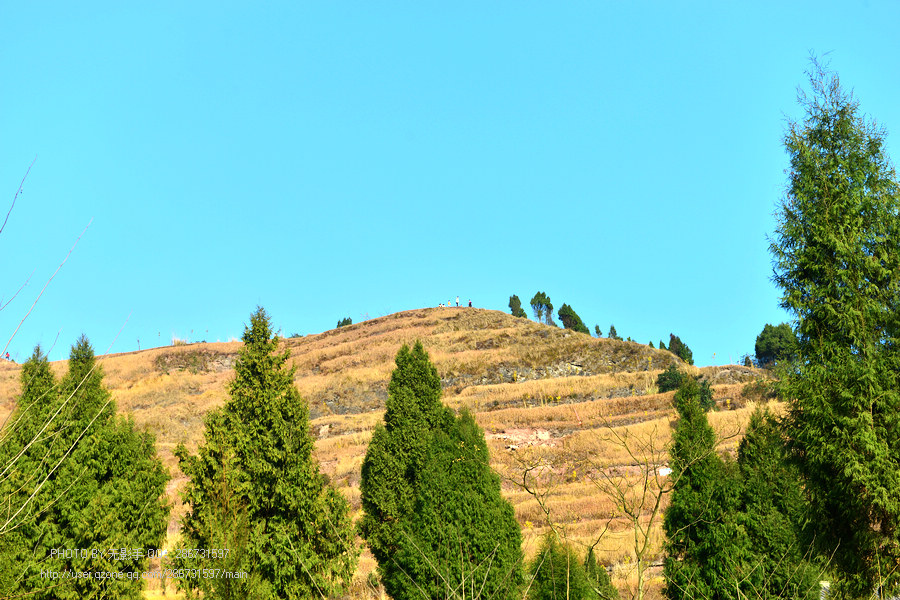 DSC_4407.jpg