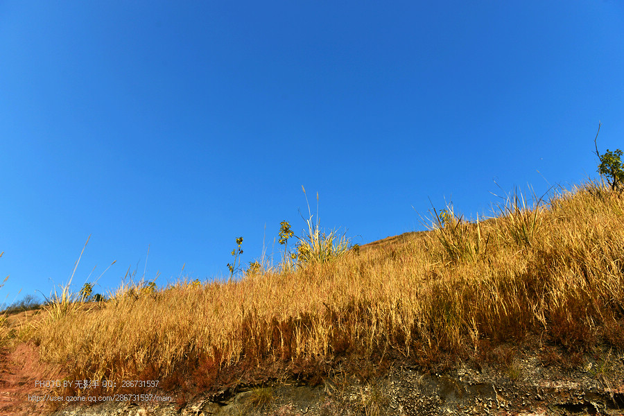 DSC_4426.jpg