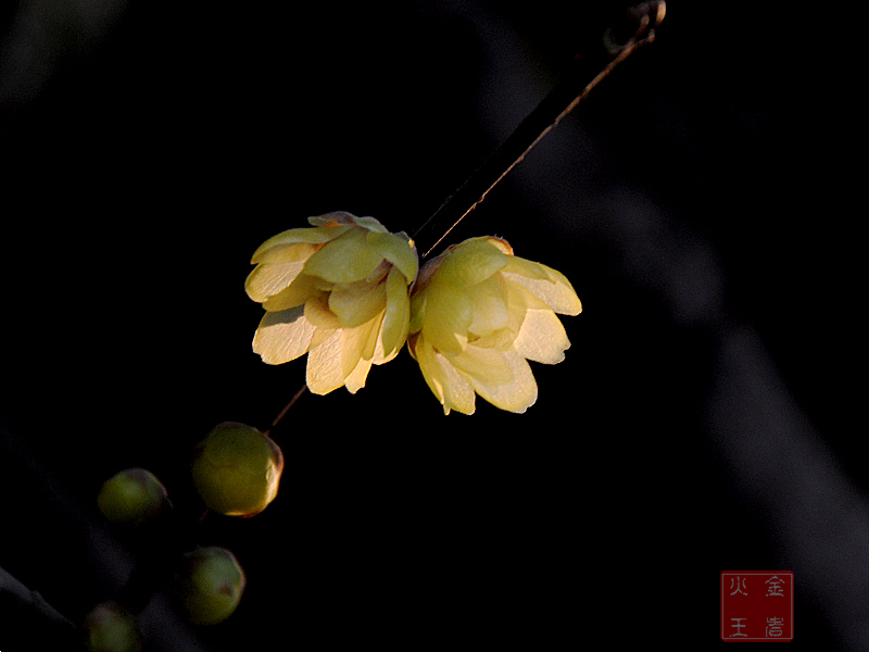 DSC_0596.jpg