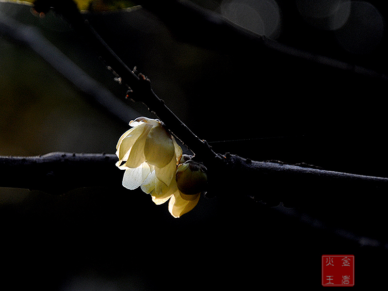 DSC_0635.jpg