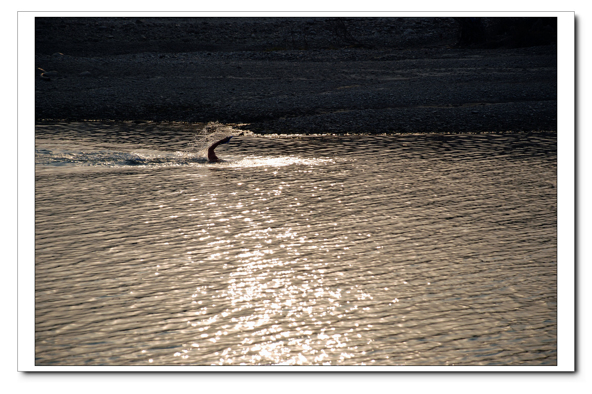 DSC_1648n.jpg