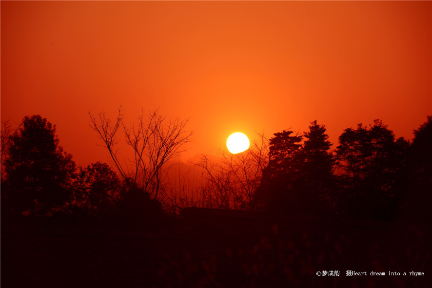 Ƭ20140120 024__.jpg