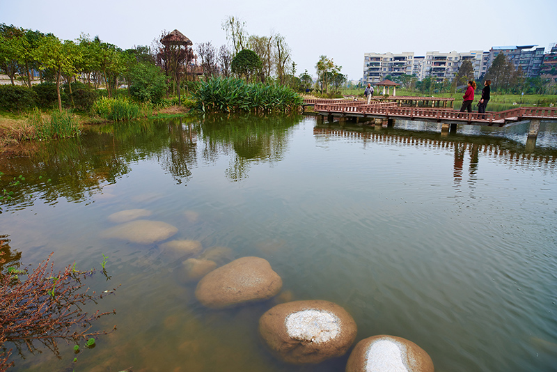 三江营生态湿地公园图片