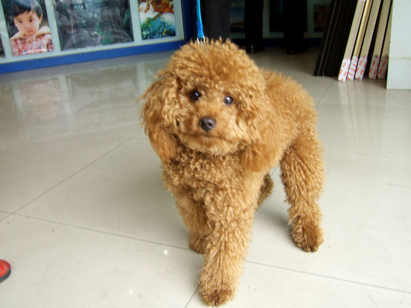 DSCF6515.JPG