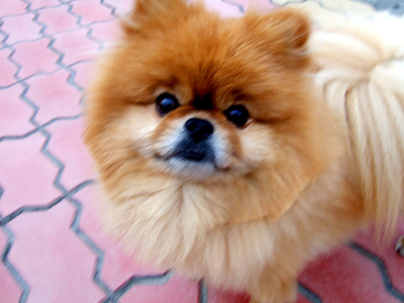 DSCF8270.JPG