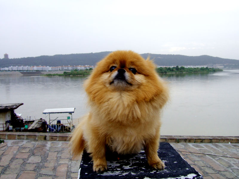 DSCF8271.JPG