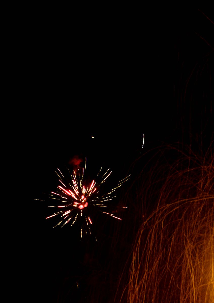 DSC_0262_.jpg