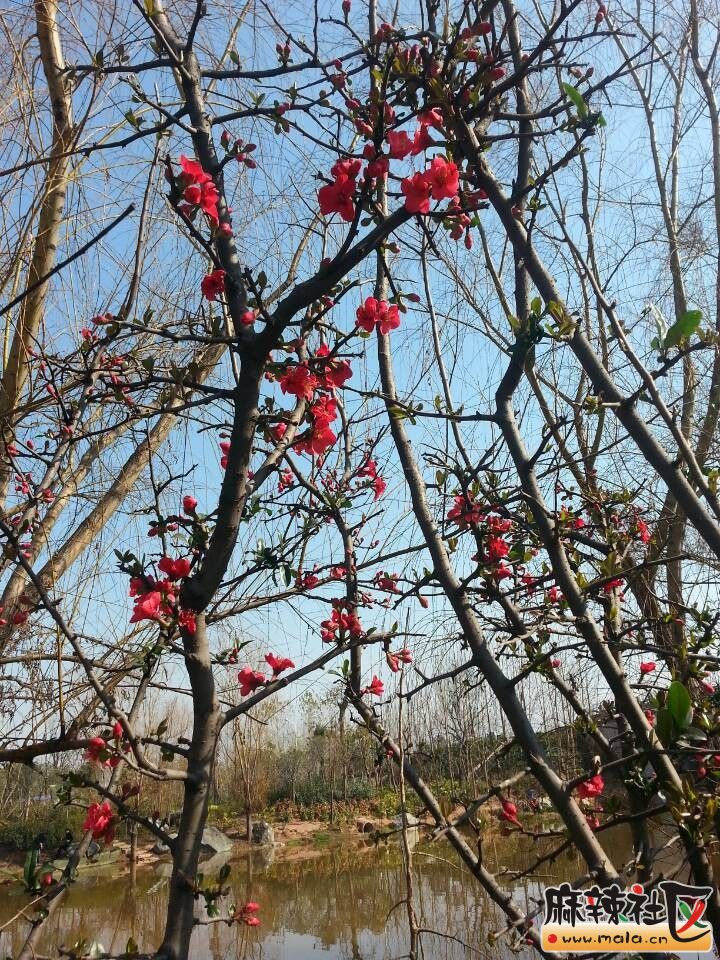 QQͼƬ20140202185926.jpg