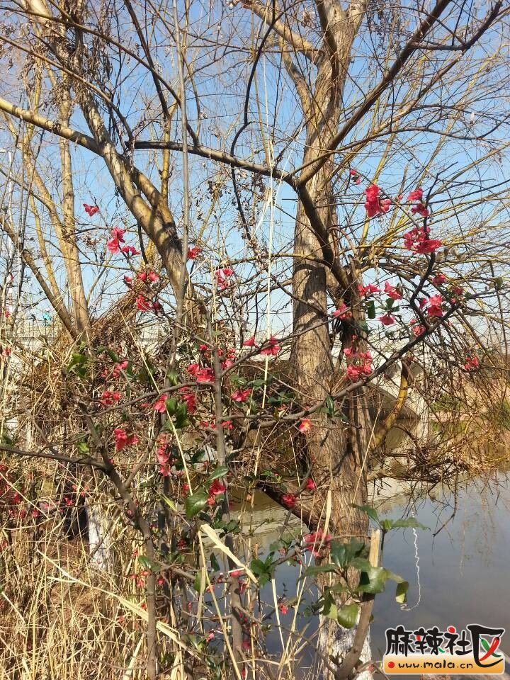 QQͼƬ20140202190028.jpg
