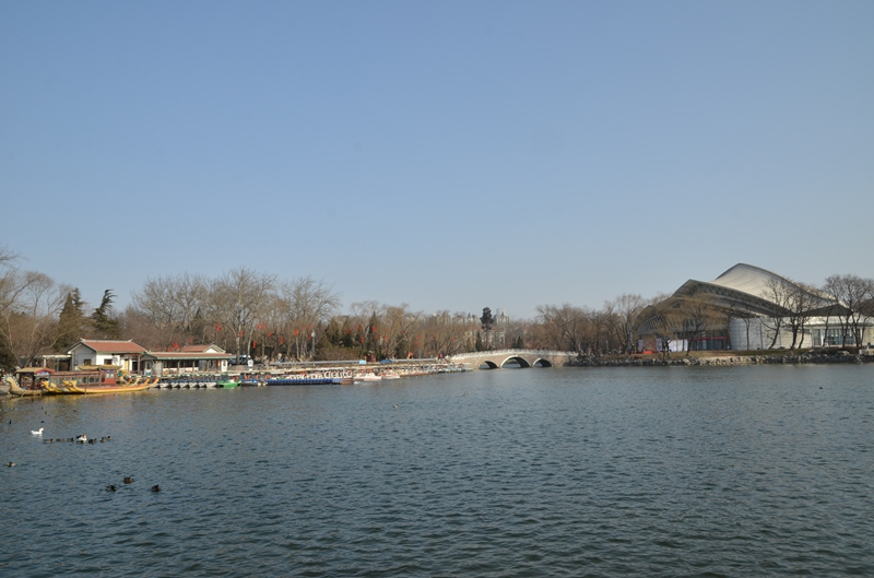 DSC_8802.JPG