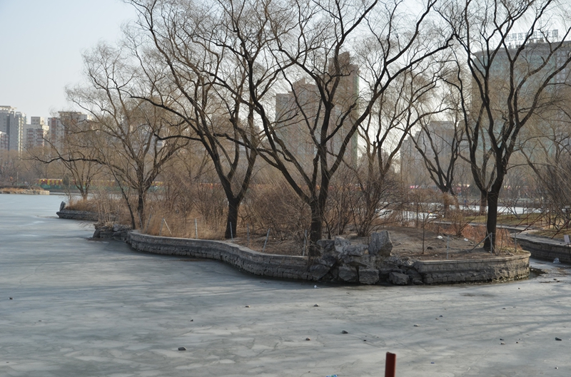 DSC_8838.JPG