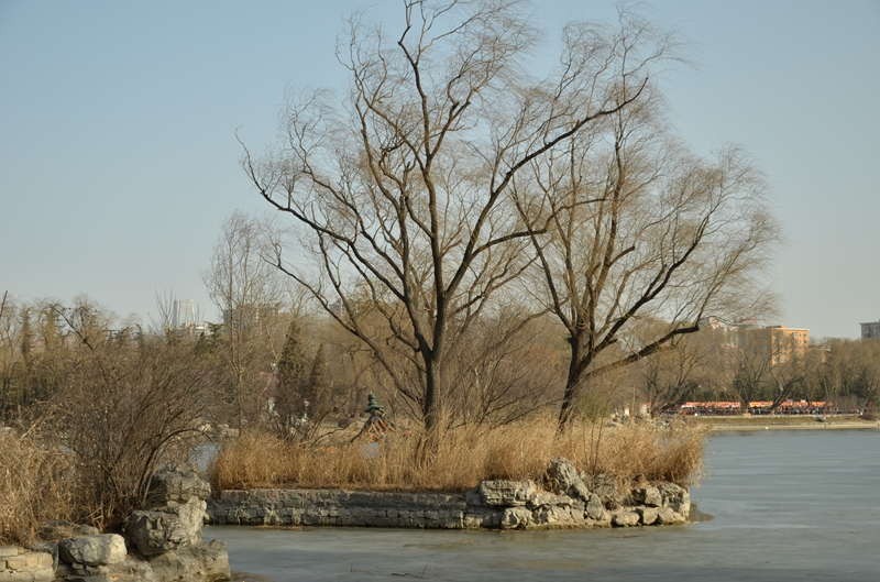 DSC_8846.JPG