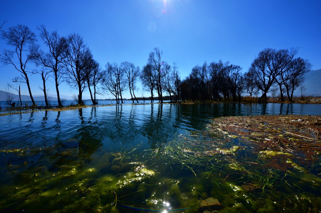 conew_conew_dsc_3046.jpg