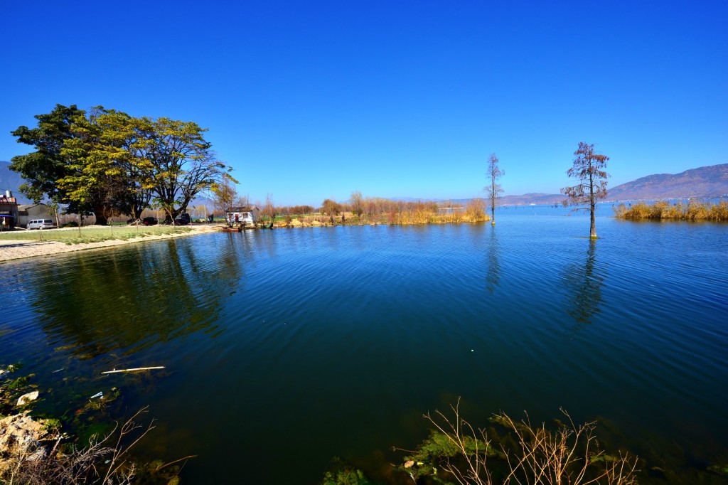 conew_conew_dsc_3108.jpg