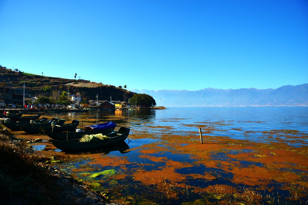 conew_conew_dsc_3554.jpg