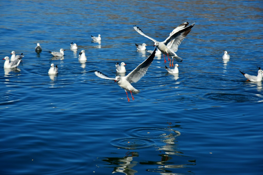 conew_conew_dsc_3794.jpg