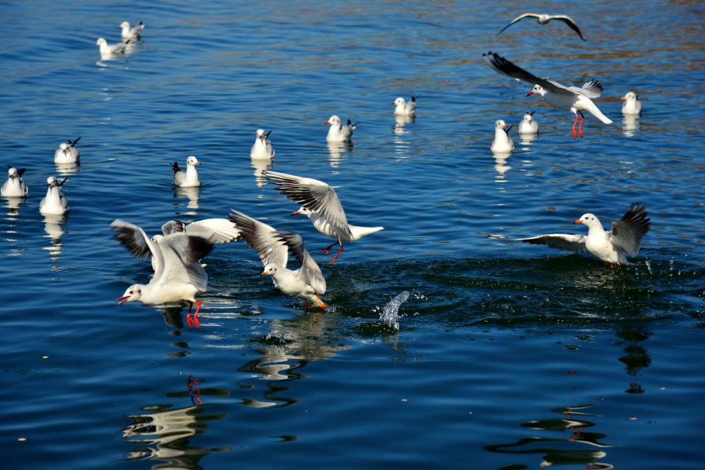 conew_conew_dsc_3803.jpg