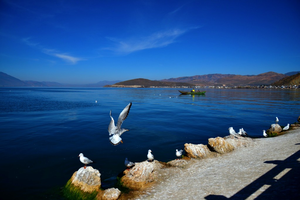 conew_conew_dsc_3975.jpg