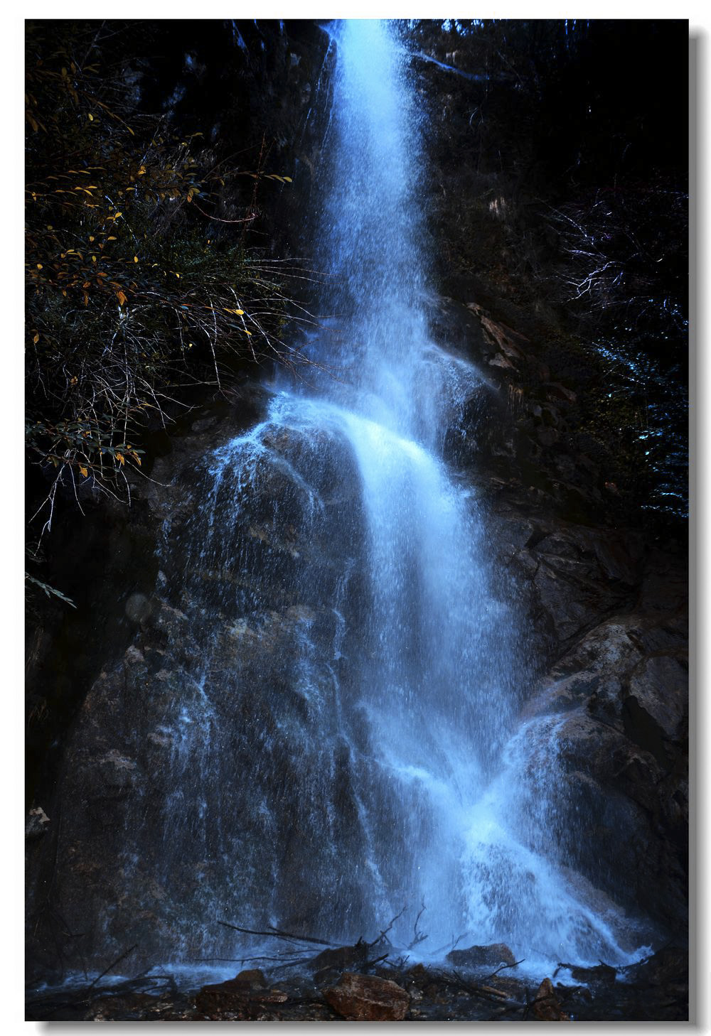 DSC_5827.jpg