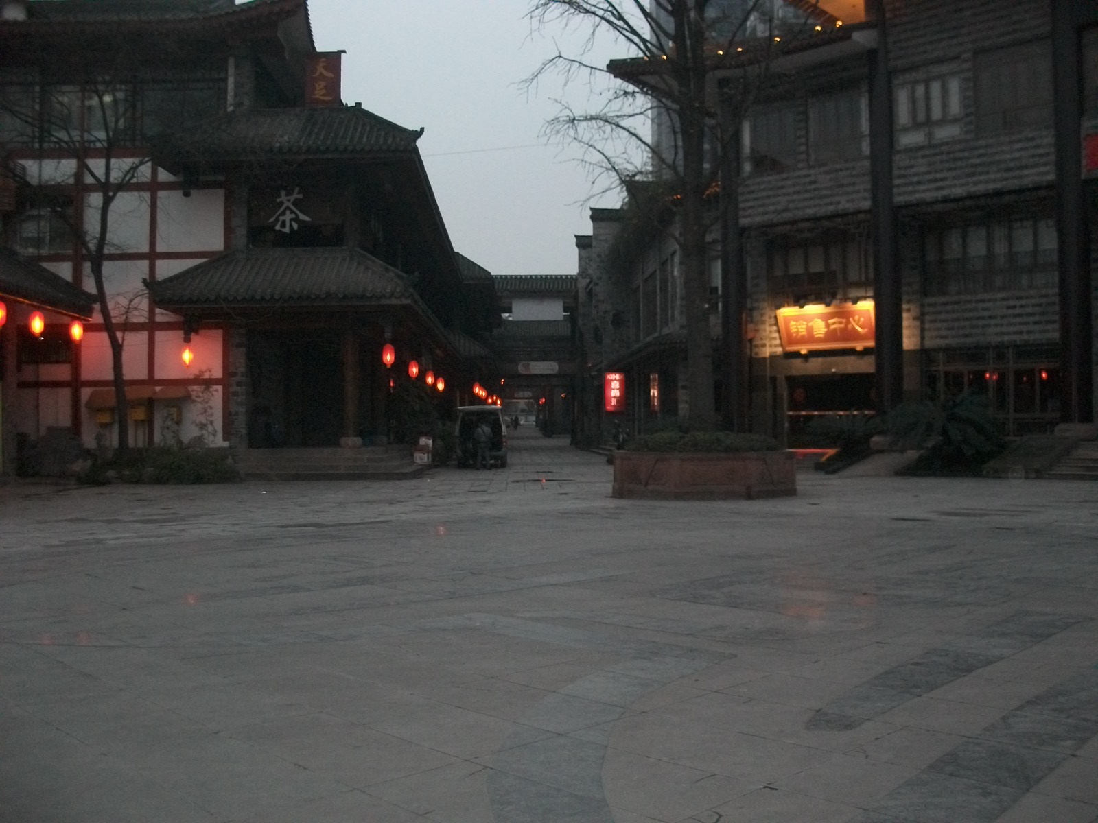 ALIM0699.JPG