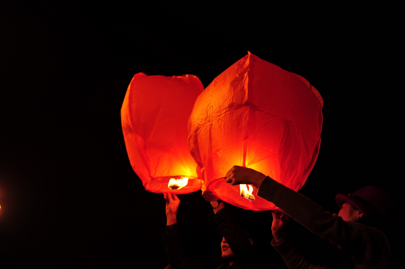 DSC_8565_С.JPG