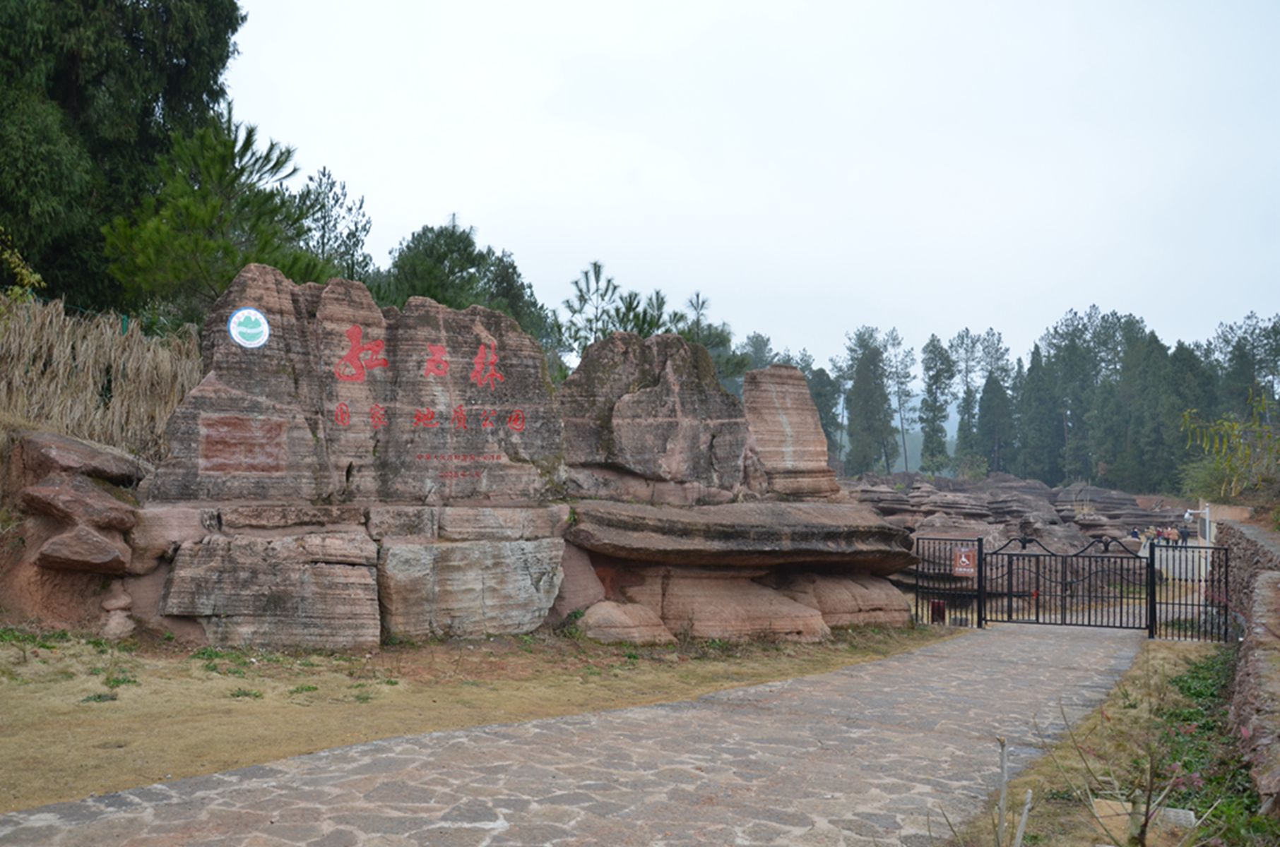 DSC_0467____.jpg