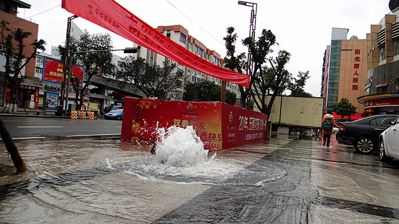 DSC03109_.jpg