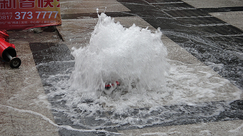 DSC03111_.jpg