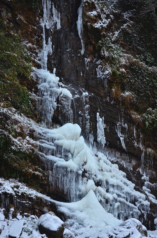 DSC_8767_.jpg