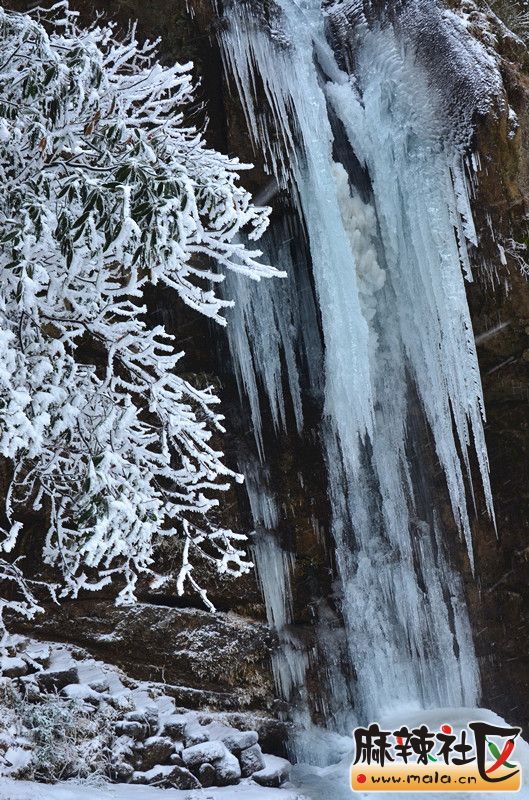 DSC_8850_.jpg