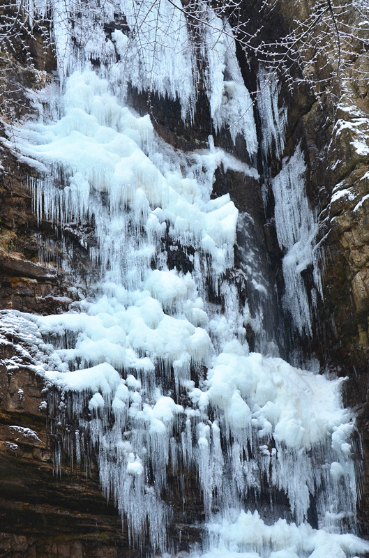 DSC_8860_.jpg