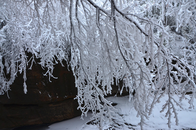 DSC_9074_.jpg