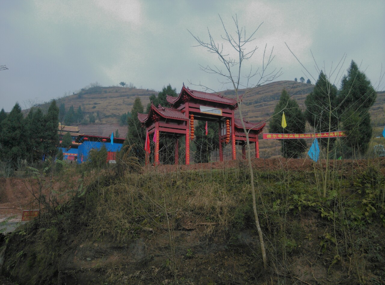 DSC_0327-1.jpg