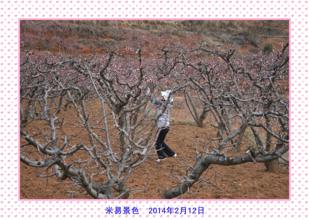 conew_Ƭ 070.jpg
