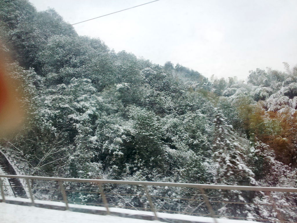 20000101_185738.jpg