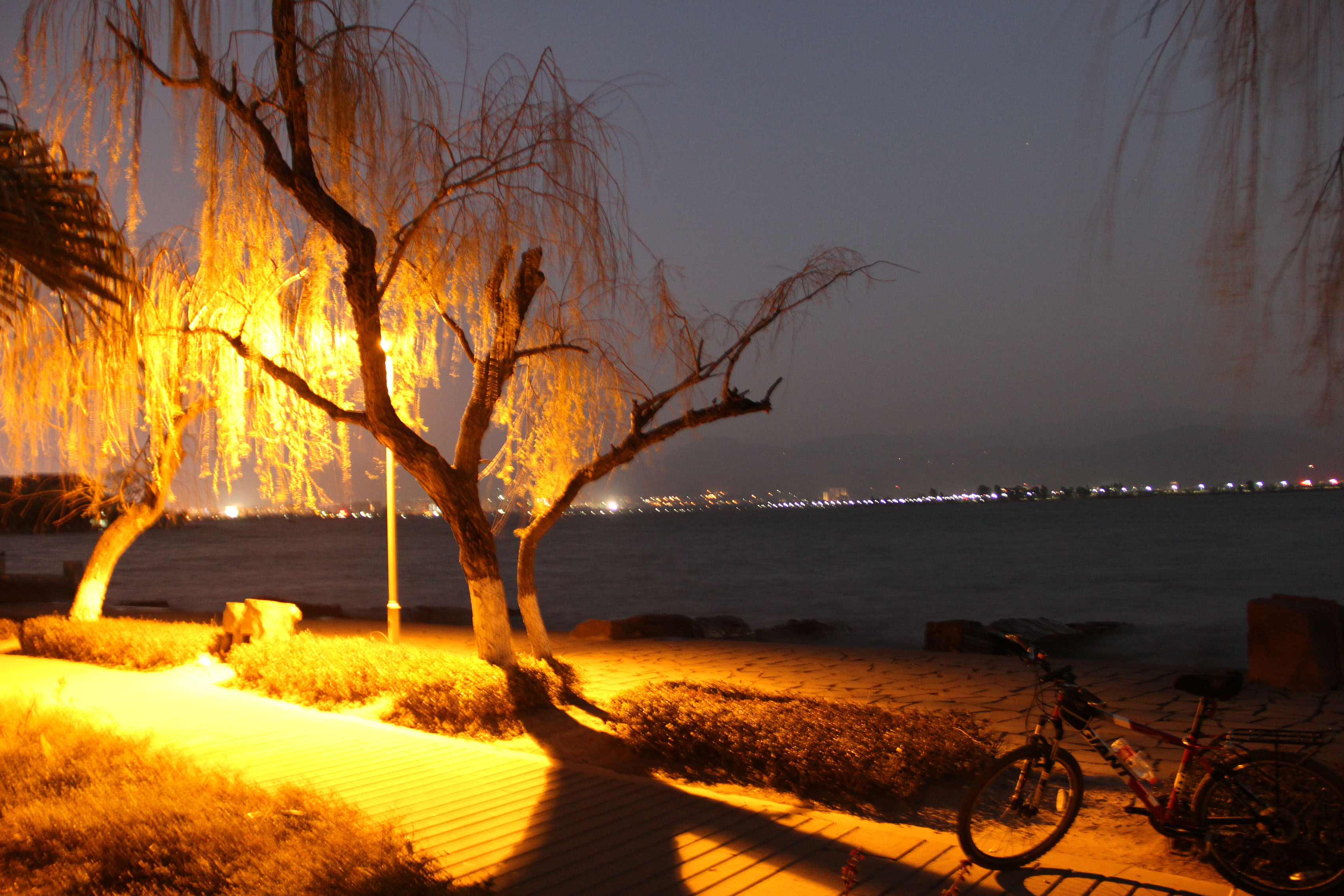 西昌溼地綠道與海河夜景