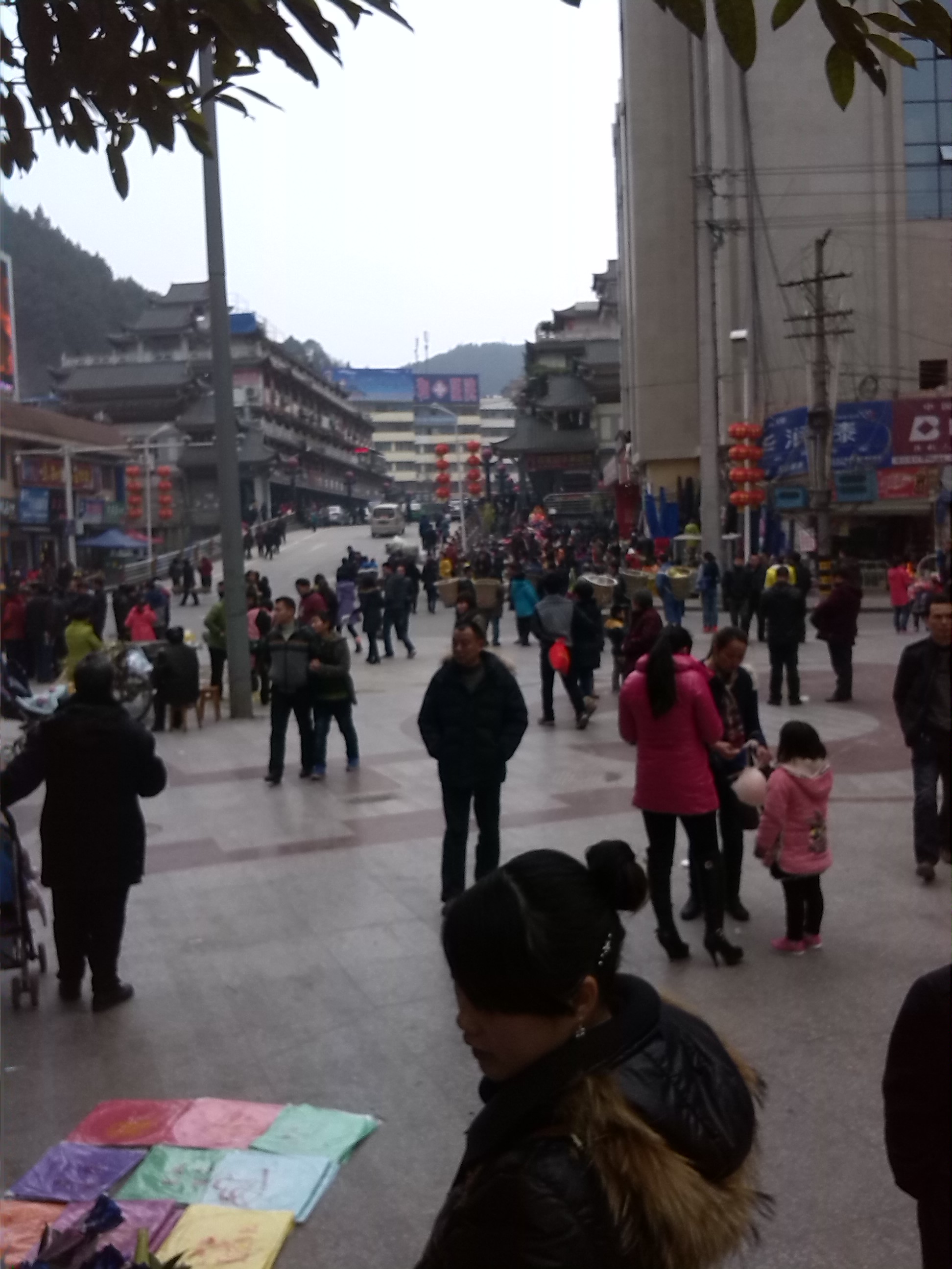 IMG_20140214_161446.jpg