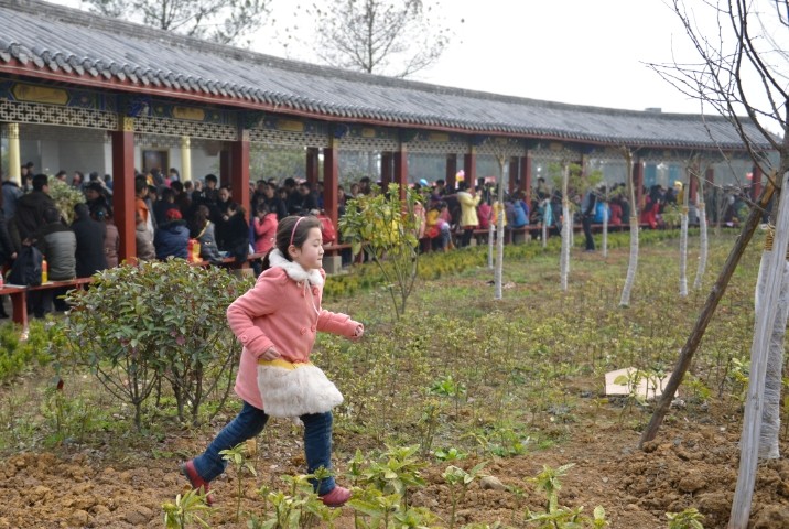 13.jpg