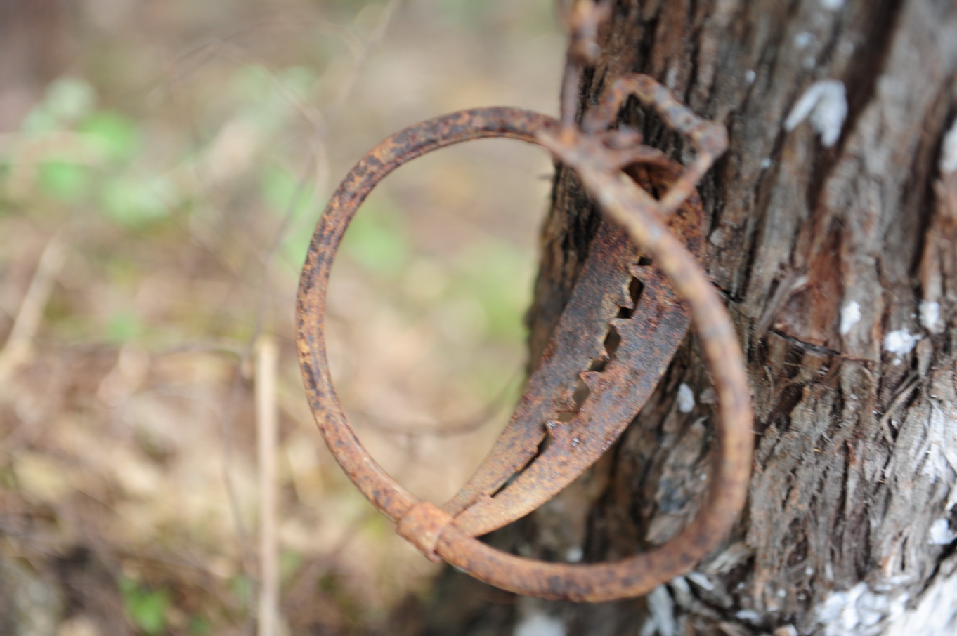 粮食,为了抓这些野娃,人们发明了这种夹子【照片上这个夹子是废了的】