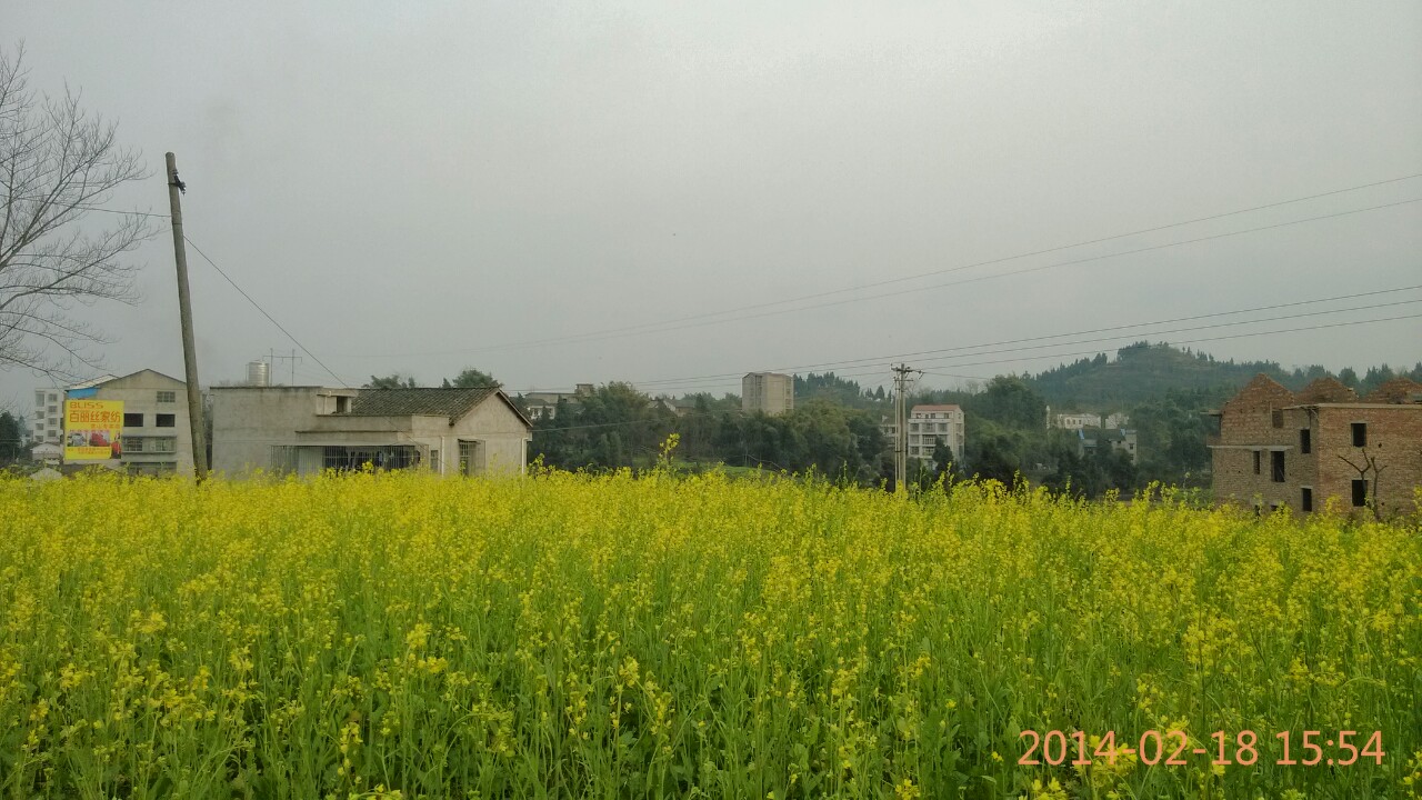 IMG_20140218_155405-1.jpg
