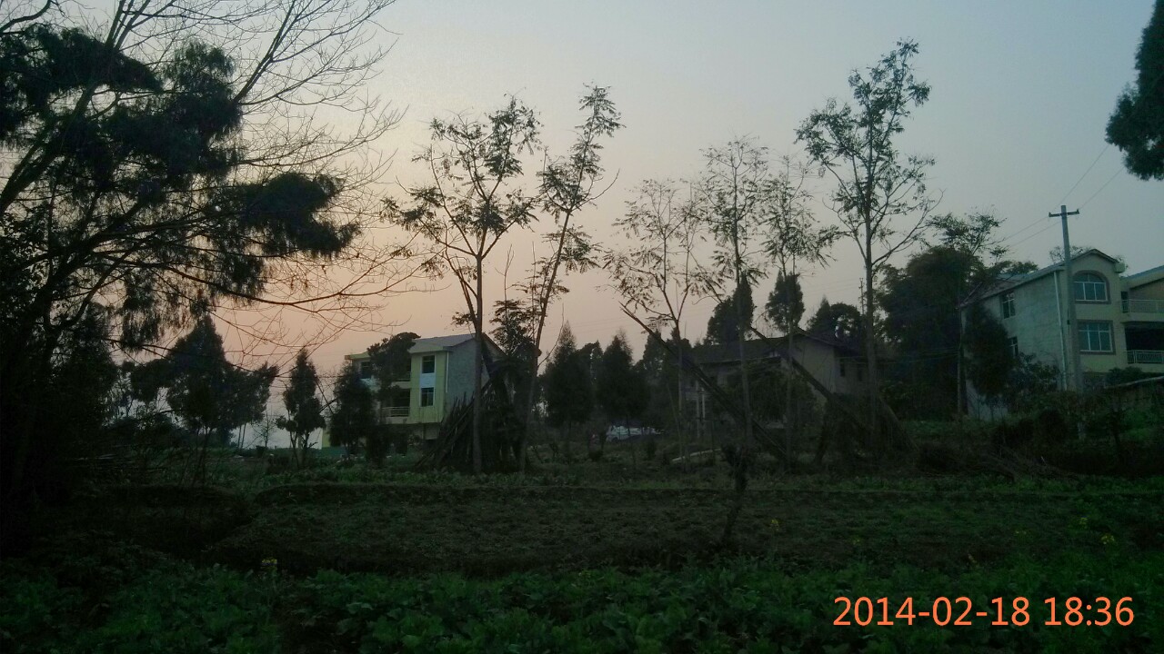 IMG_20140218_183618-1.jpg