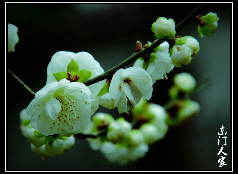 WX1_2182_.jpg
